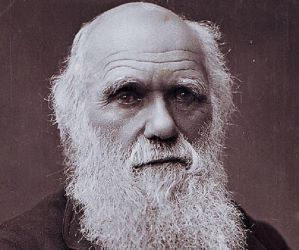 Exposició de Darwin i Wallace a Londres de la teoria de l’evolució